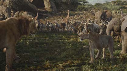 Mufasa #34