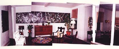 Pollock #35